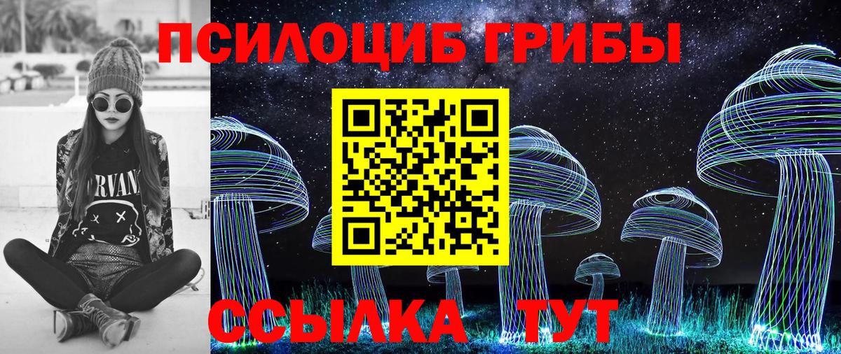 Псилоцибиновые грибы Cubensis  Вход с VPN  Михайловка 